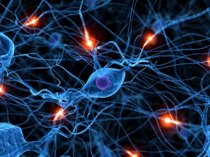 Neurociencias para Tratamiento y Educación