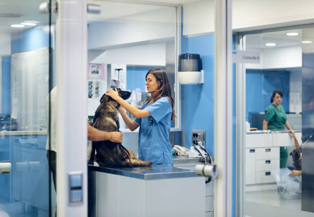 Auxiliar de Clínica Veterinaria