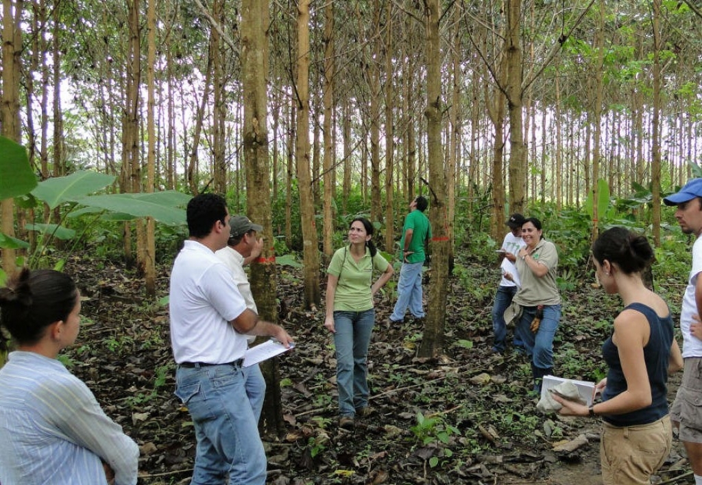 Ingeniería y Gestión Ambiental