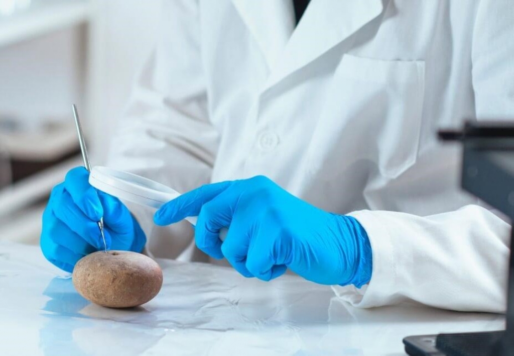 Antropología