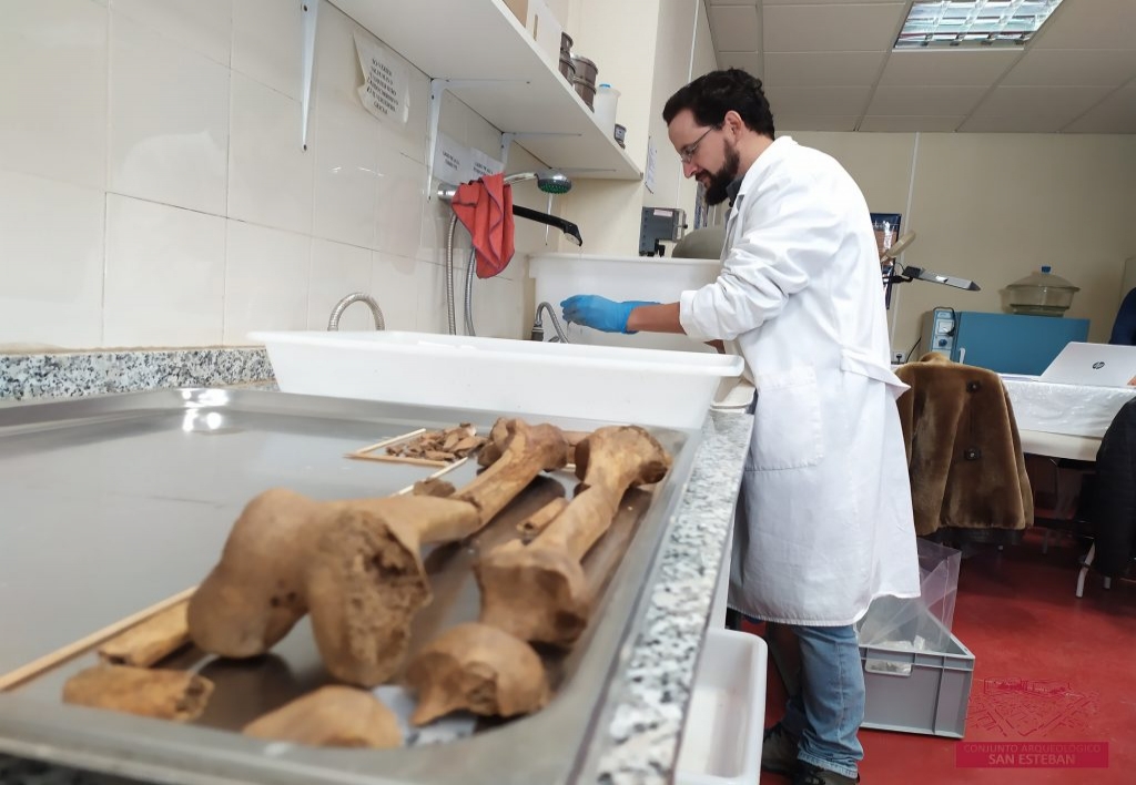 Antropologia Forense y Bioarqueologia