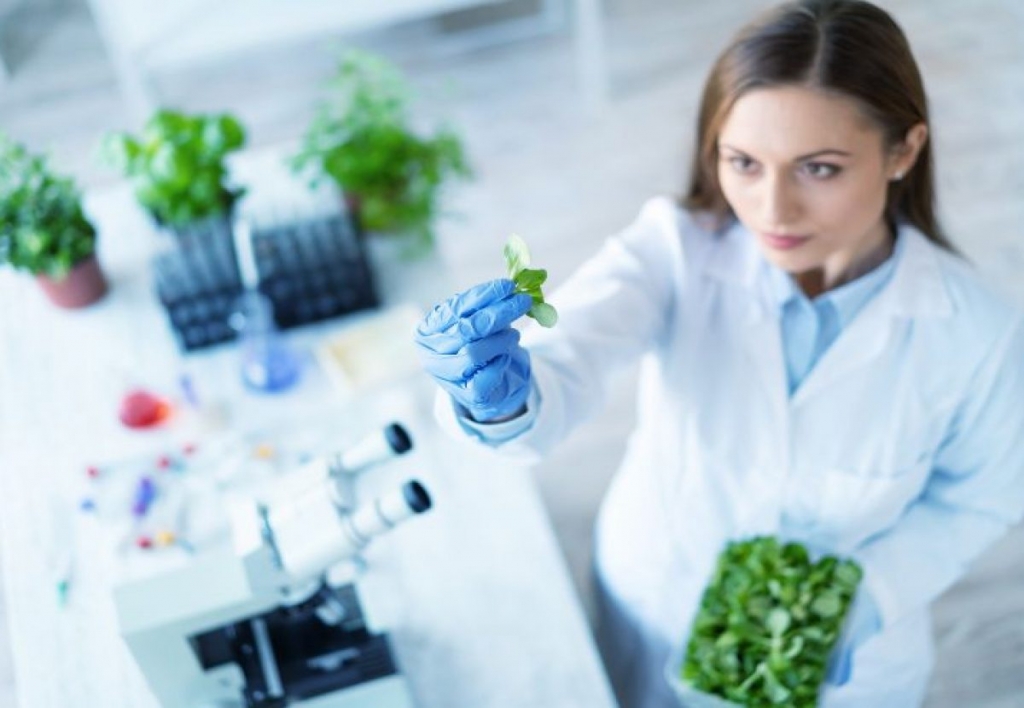 Biotecnología Alimentaria