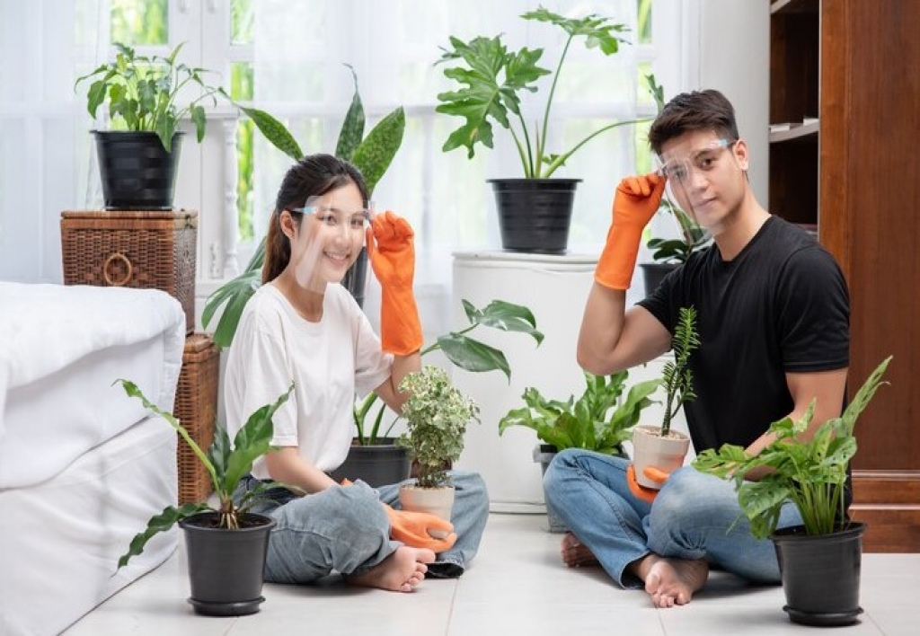 Diseño de Interiores Paisajismo y Jardinería