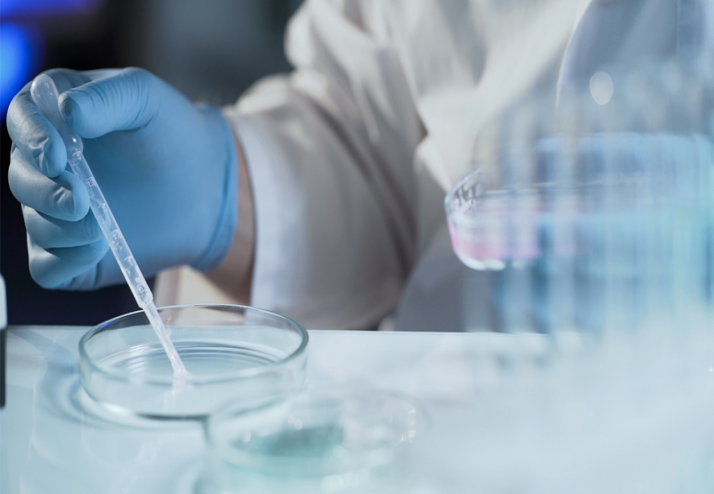 Fertilidad y Reproducción Humana Asistida