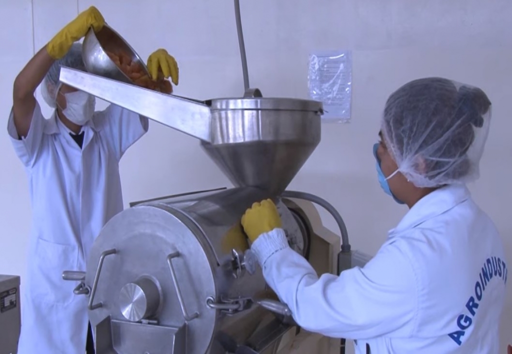 Gestión Producción y Transformación Agroindustrial