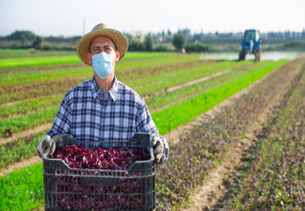 Gestión y Desarrollo de Agronegocios