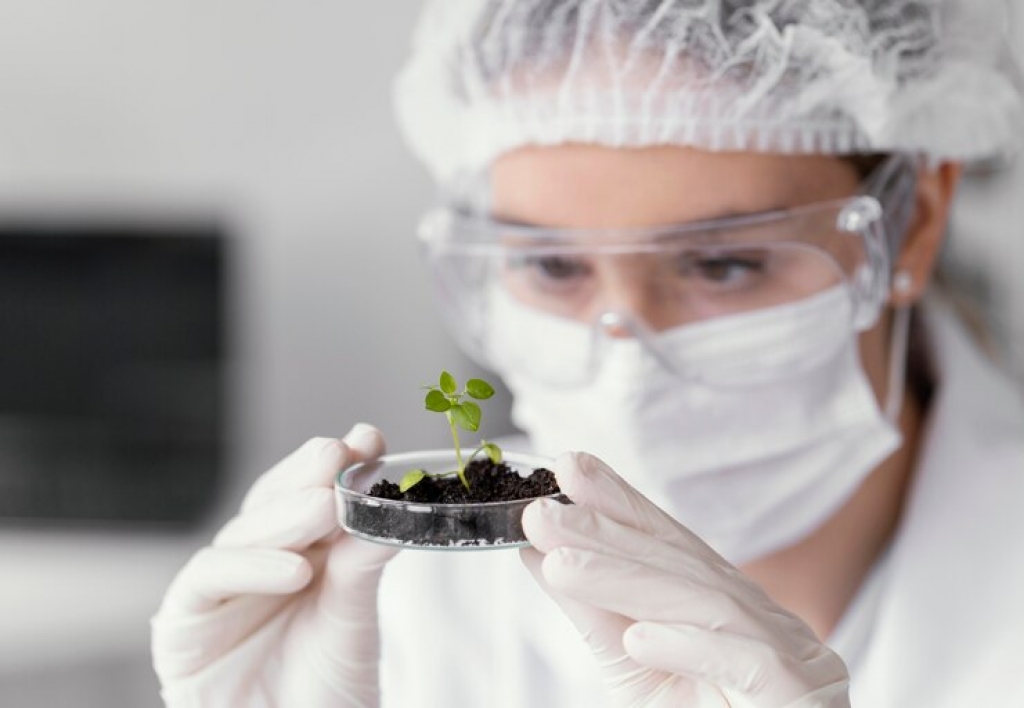 Microbiologia e Higiene Alimentaria