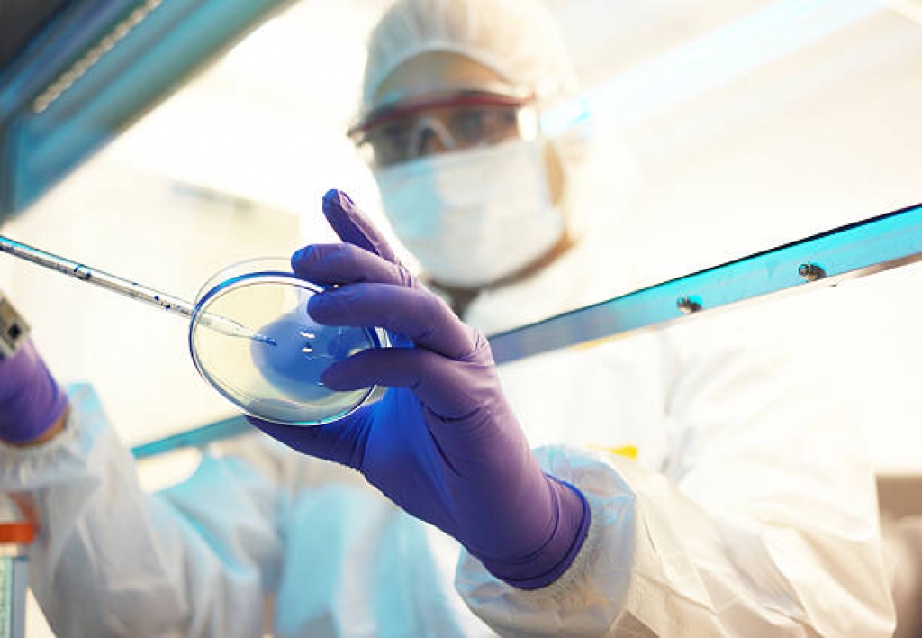 Medicina Ocupacional y del Medio Ambiente