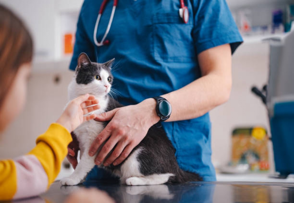 Nutrición Veterinaria Animales de Compañía