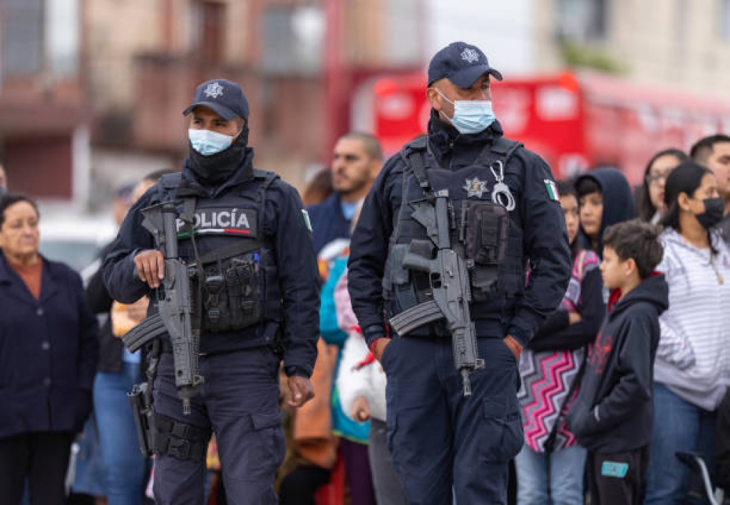 Amenazas y Políticas Públicas de Seguridad en América Latina