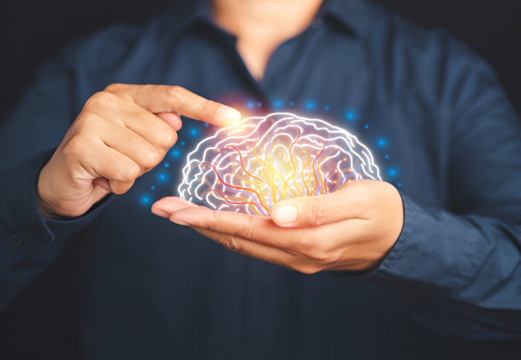 Neuropsicopedagogía Y Procesos Cognitivos