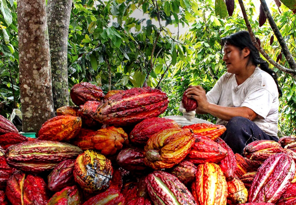 Biocomercio y Desarrollo Sostenible