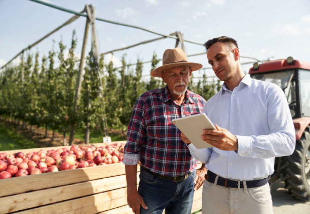Supervisor de Centro de Innovación Tecnológica Agropecuaria