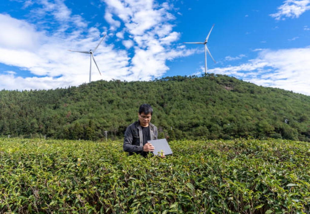 Supervisor de Desarrollo Económico y Medio Ambiente