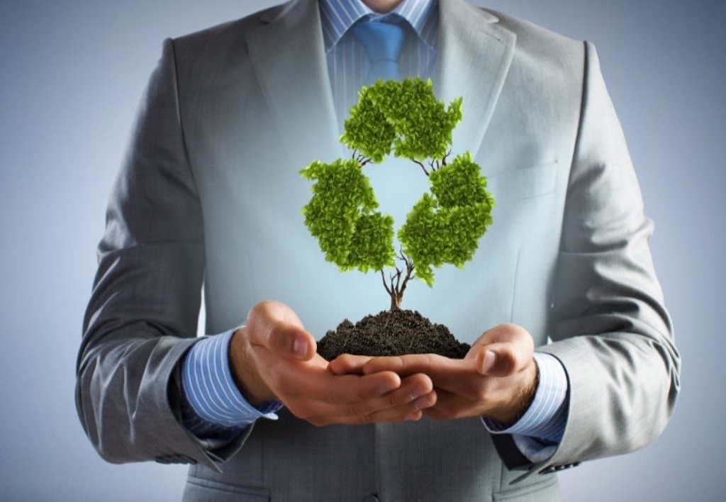 Jefe de Medio Ambiente y Recursos Naturales
