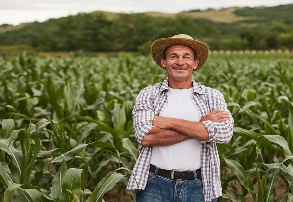Asistente de Desarrollo Sostenible Economico, Ambiental y Social