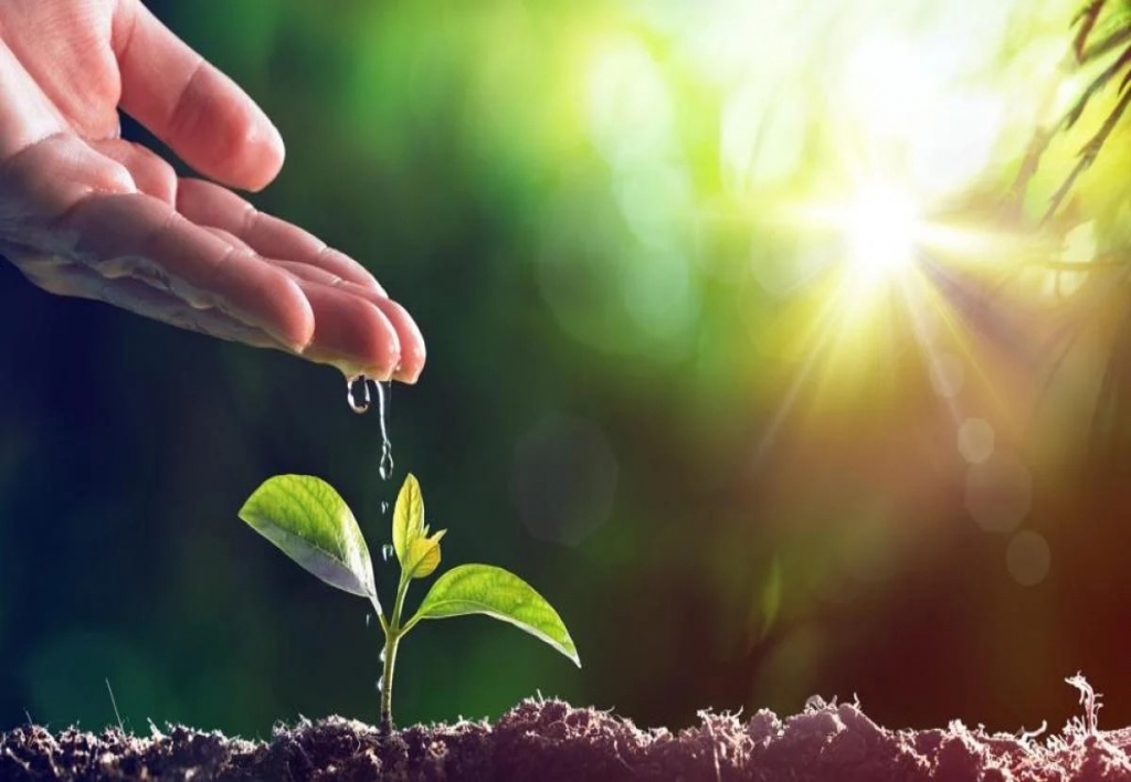 Asistente de Medio Ambiente y Recursos Naturales