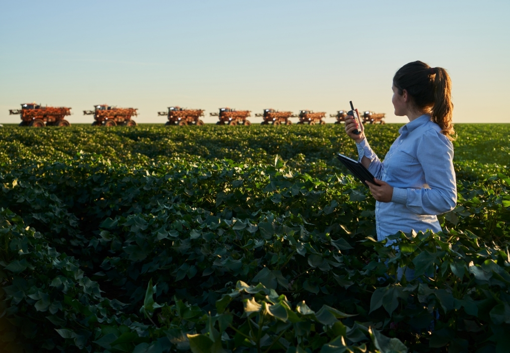 Gerente de Centro de Innovación Tecnológica Agropecuaria