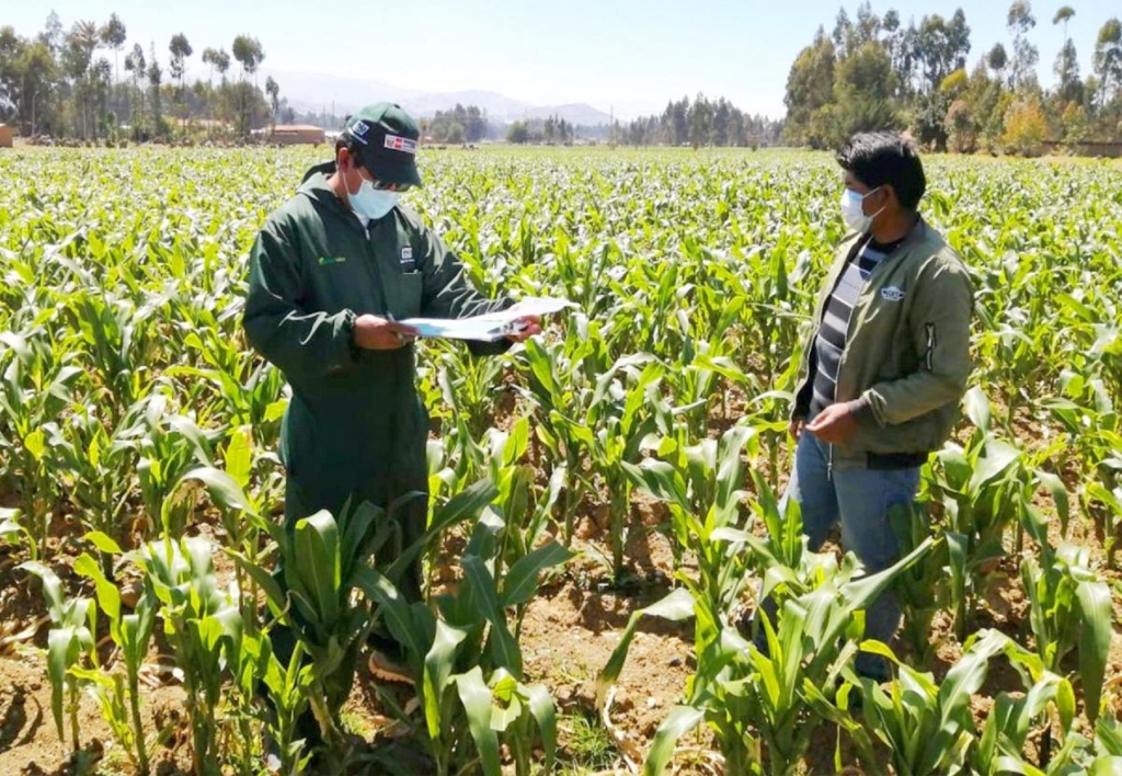 Técnico de Centro de Innovación Tecnológica Agropecuaria