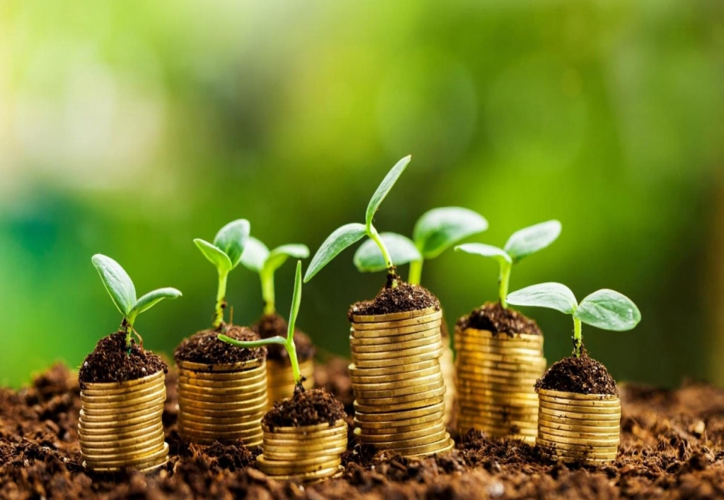 Gerente de Desarrollo Económico