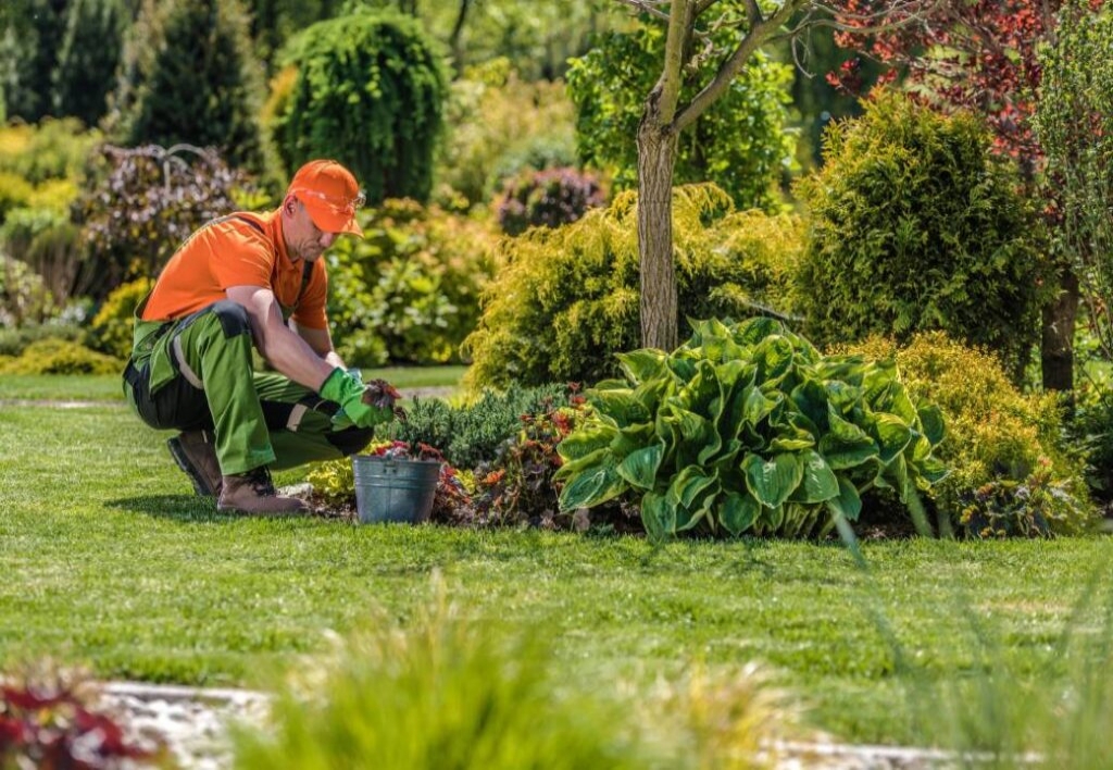 Asistente Tecnico de Parques y Jardines