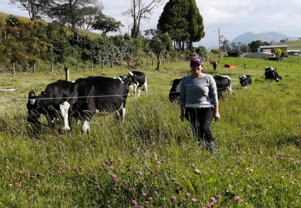 Asistente Técnico de Sanidad Animal y Vegetal