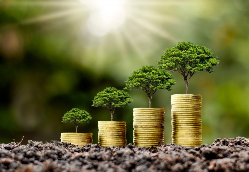 Auxiliar de Desarrollo Sostenible Economico, Ambiental y Social