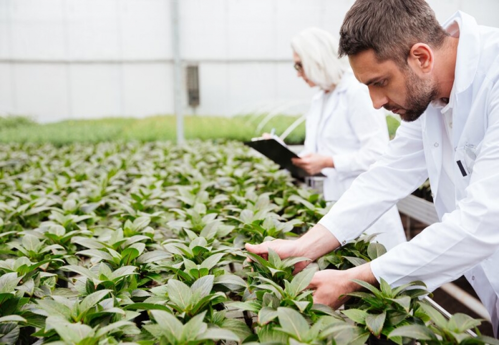 Jefe de Centro de Investigacion Tecnológica Agropecuaria