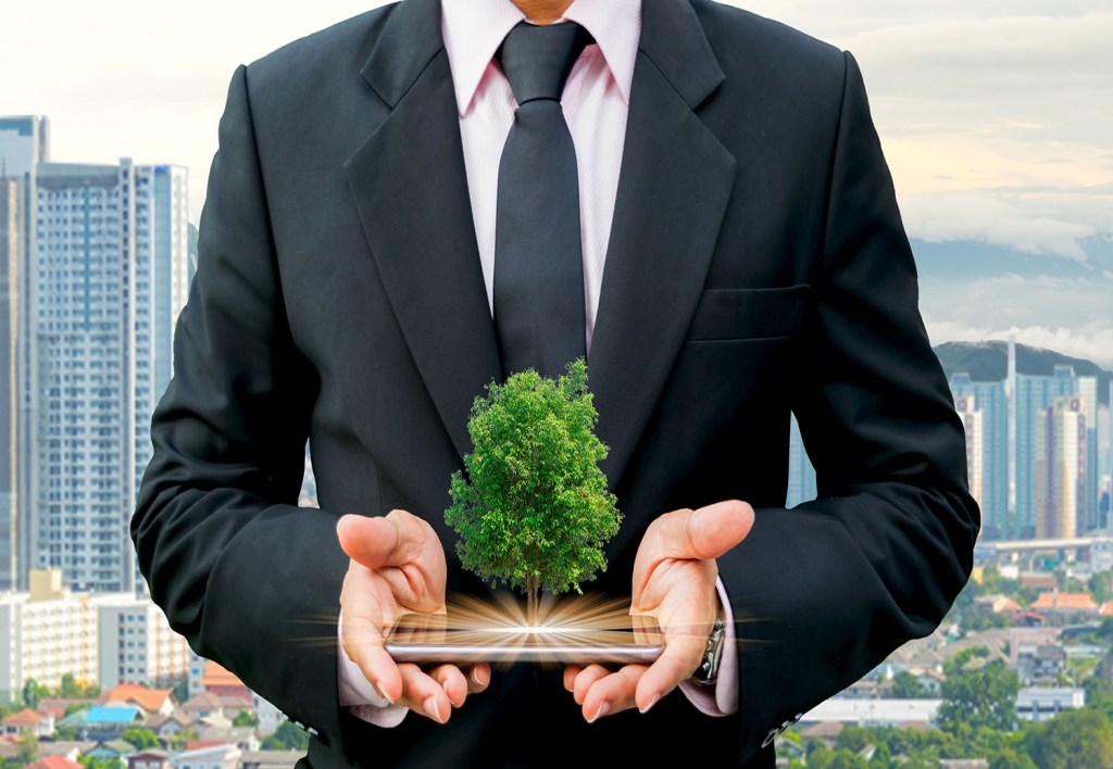 Jefe de Desarrollo Sostenible Economico, Ambiental y Social