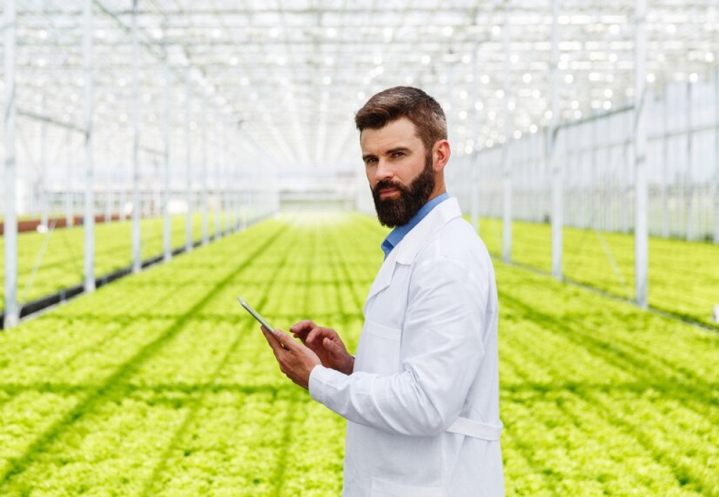 Jefe de Innovación Tecnologica Agropecuaria