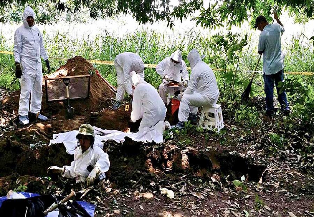 Medio Ambiente Forense