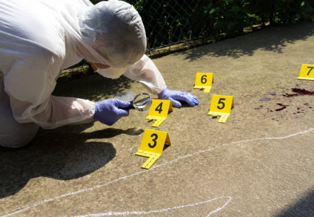 Perito en Moneda Forense