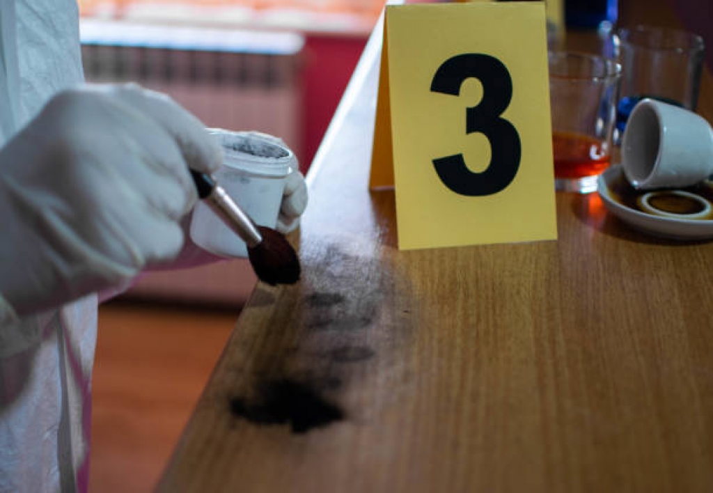 Perito en Pintura Forense