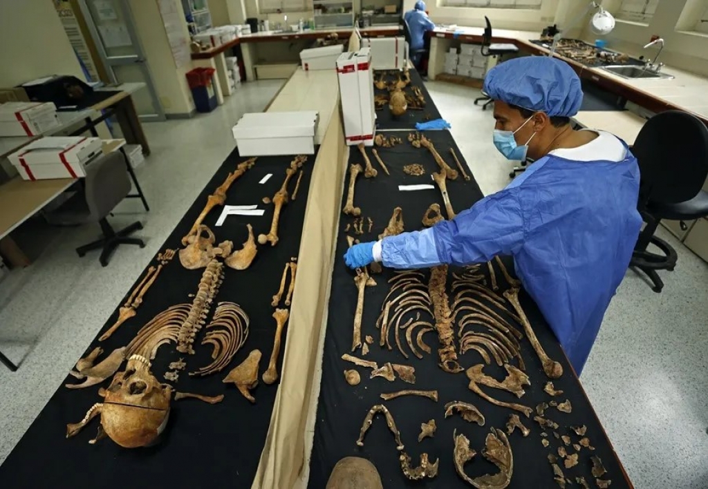 Perito en Fisiología Forense