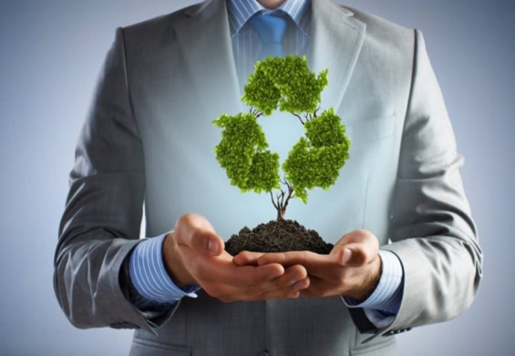 Asistente de Desarrollo Ambiental