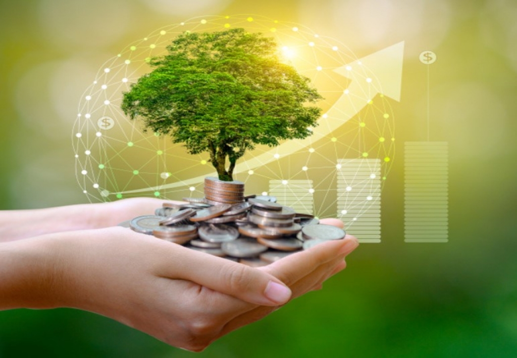 Especialista en Desarrollo Sostenible Economico, Ambiental y Social