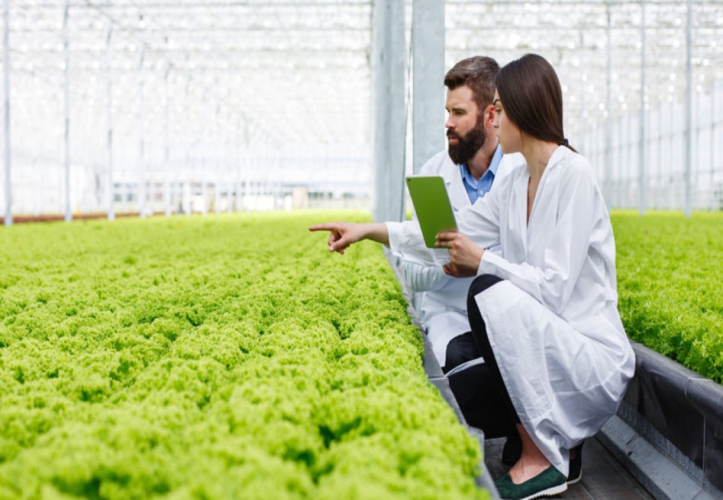 Ingeniería Agroindustrial