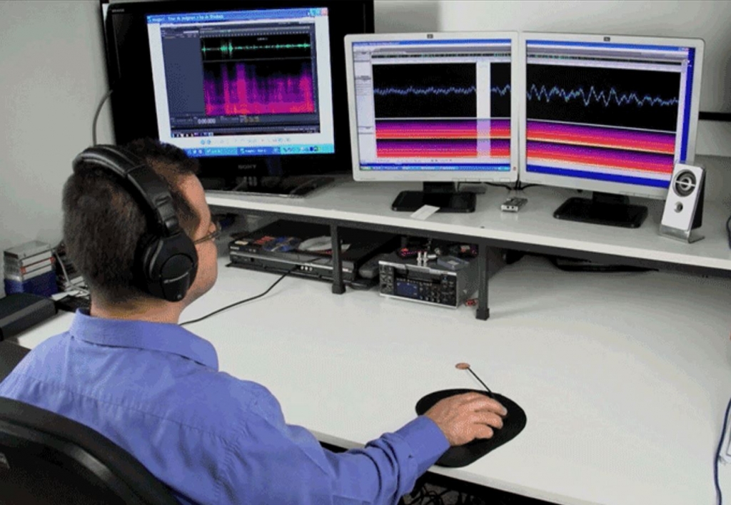 Perito en Acústica, Audiología y Fonética Forense