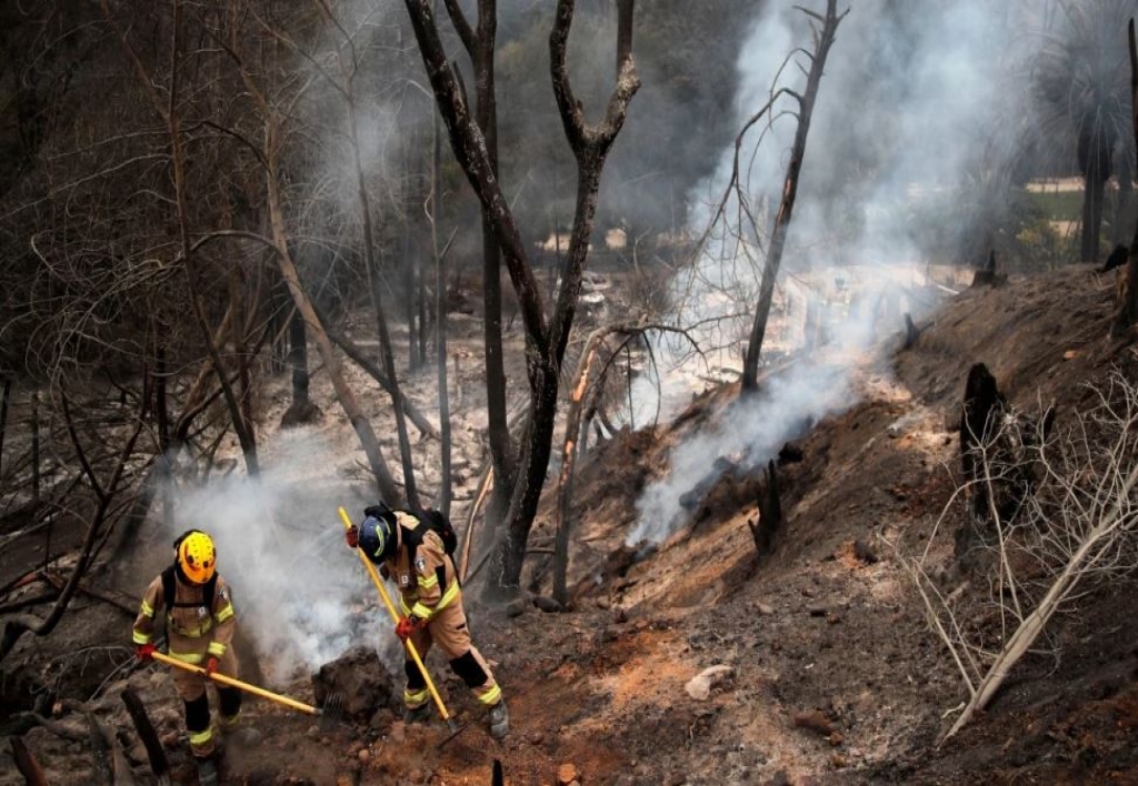Incendio Forense