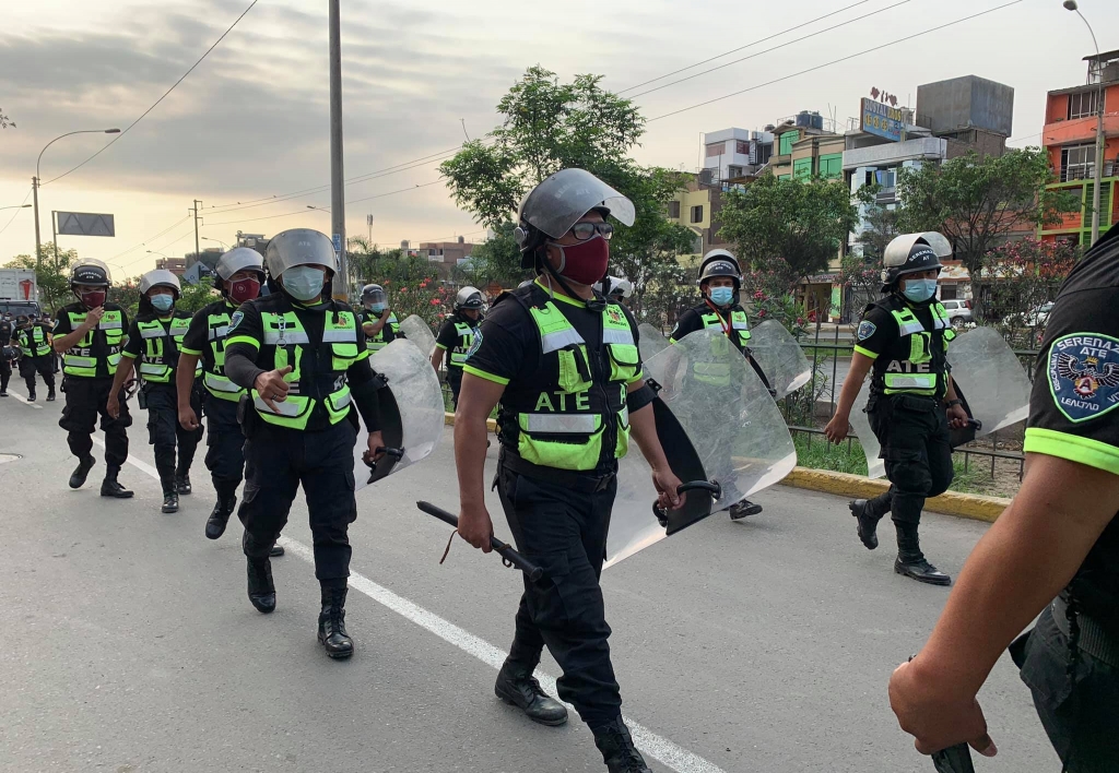 Seguridad Ciudadana