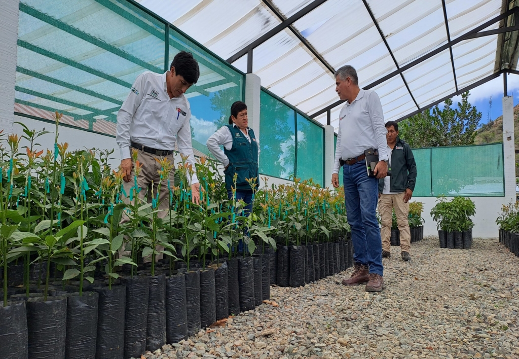 Jefe de Centro de Investigacion Tecnológica Agropecuaria