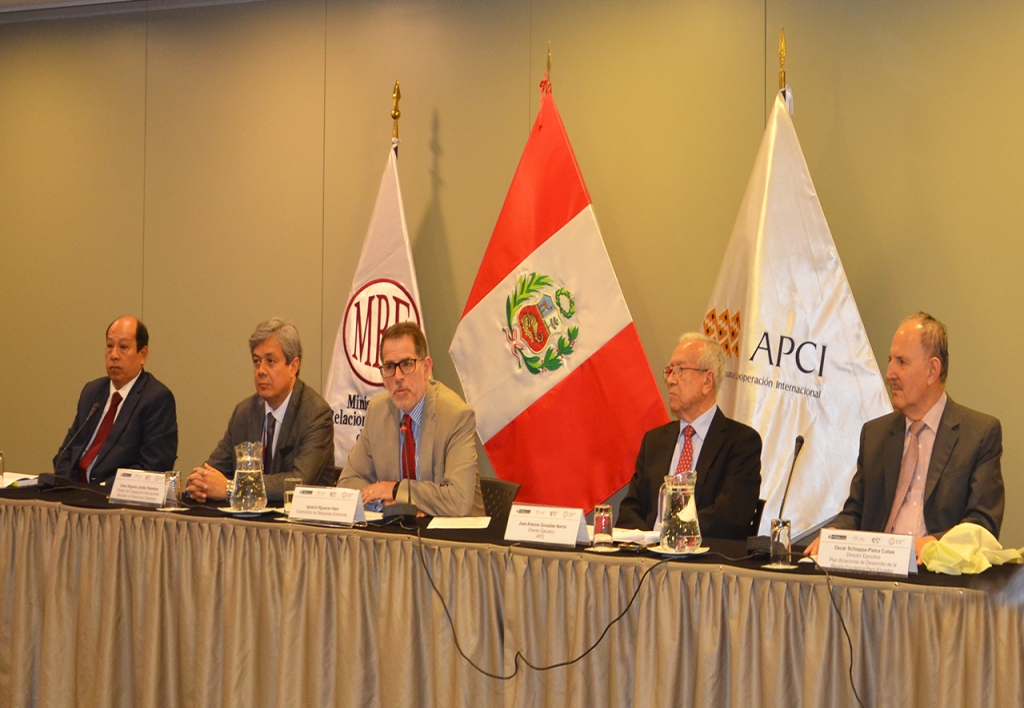 Jefe de Cooperación Técnica Nacional e Internacional