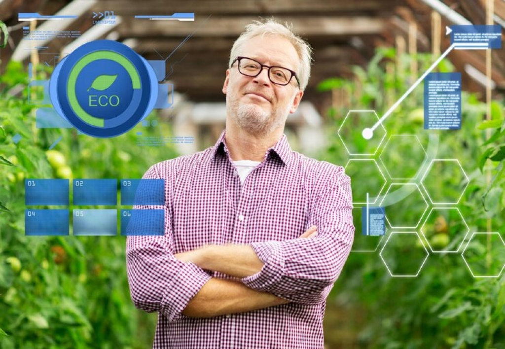 Gerente de Centro de Innovación Tecnológica Agropecuaria