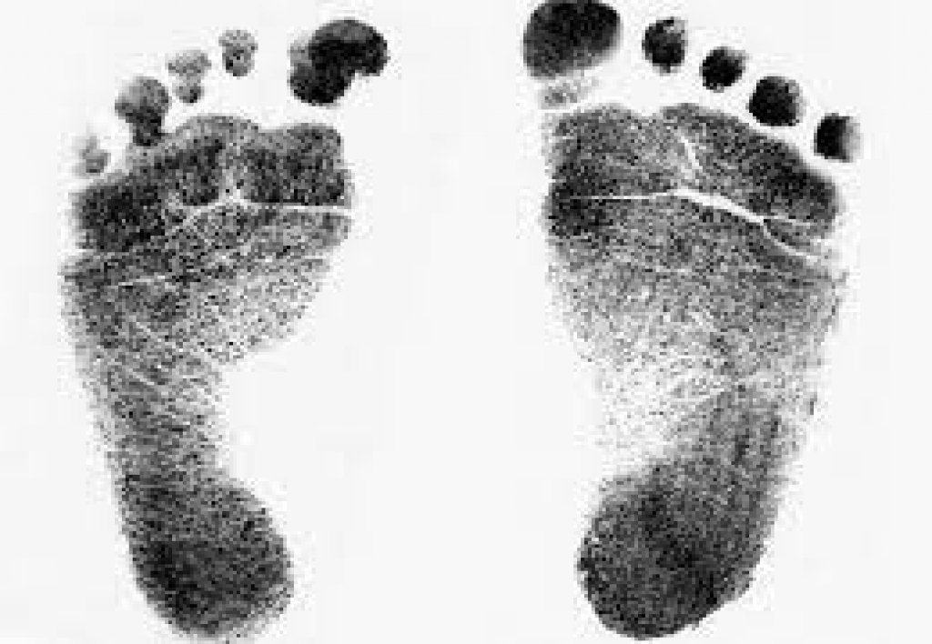 Perito en Pelmatoscopía Forense