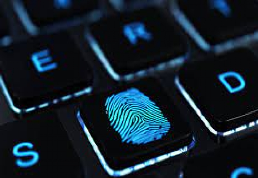 Perito en Ingenieria de Informática Forense