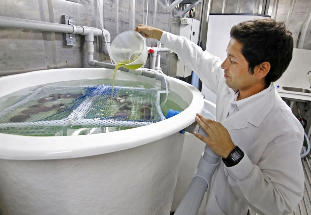 Perito en Ingeniería Acuicola Forense