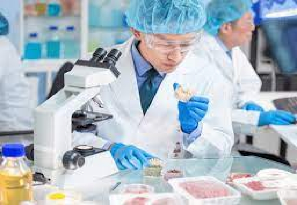 Perito en Ingeniería de Industria Alimentaria Forense