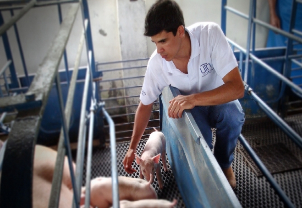 Perito en Ingeniería de Producción Animal Forense