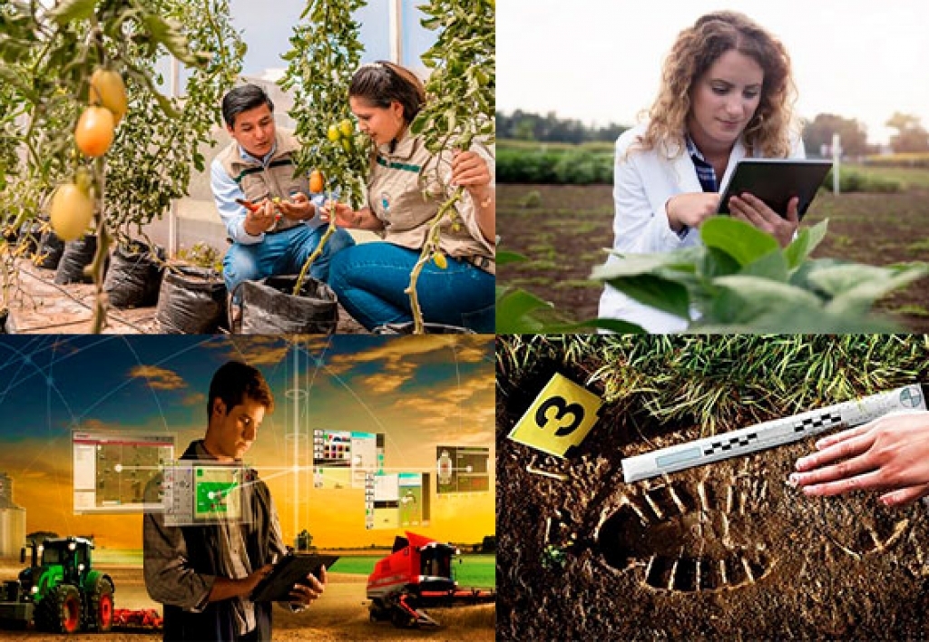 Perito Agrícola Forense