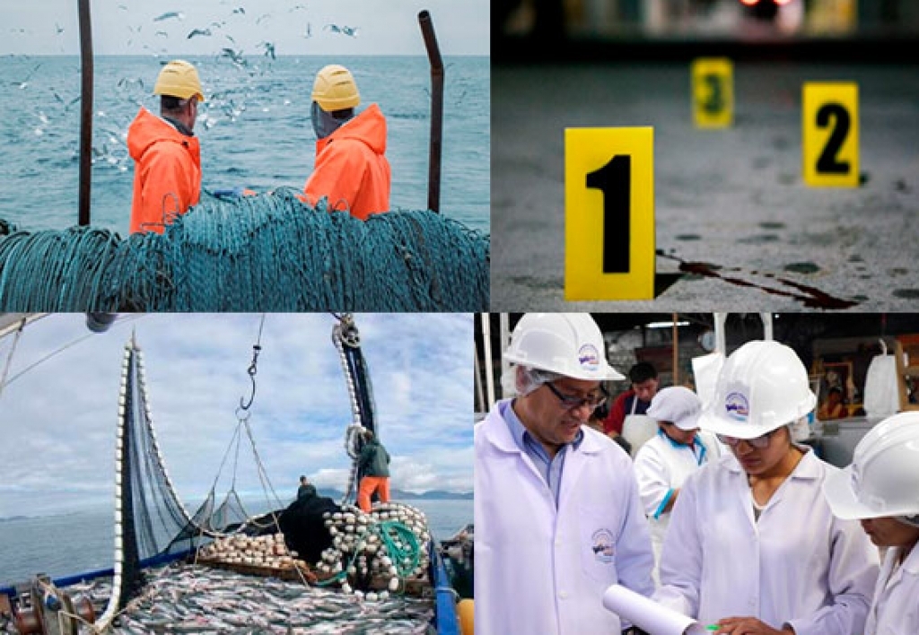Perito en Pesquería Forense